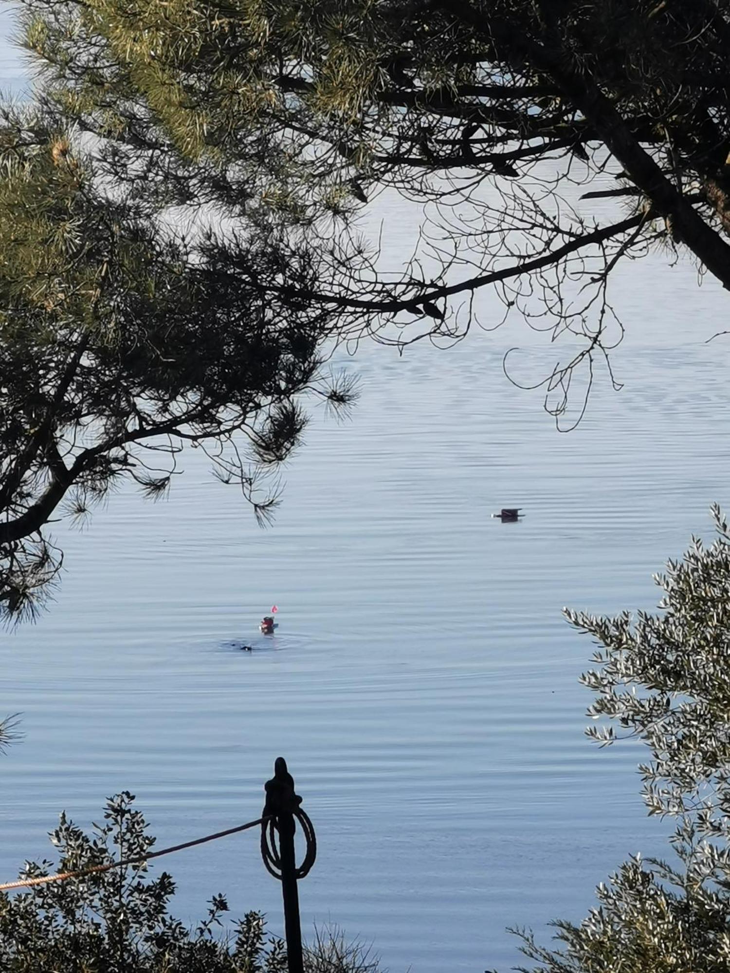 Apartament Les Pieds Dans L'Eau Saint-Malo Zewnętrze zdjęcie